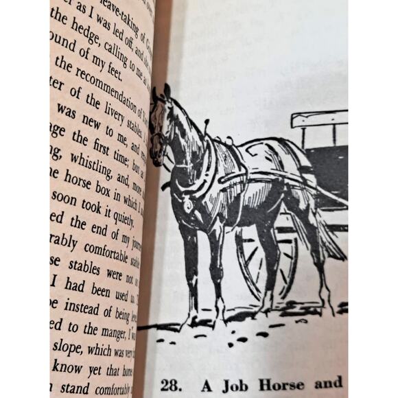 Black Beauty by Anna Sewell (Scholastic Classics 2001 Paperback) - Picture 7 of 9